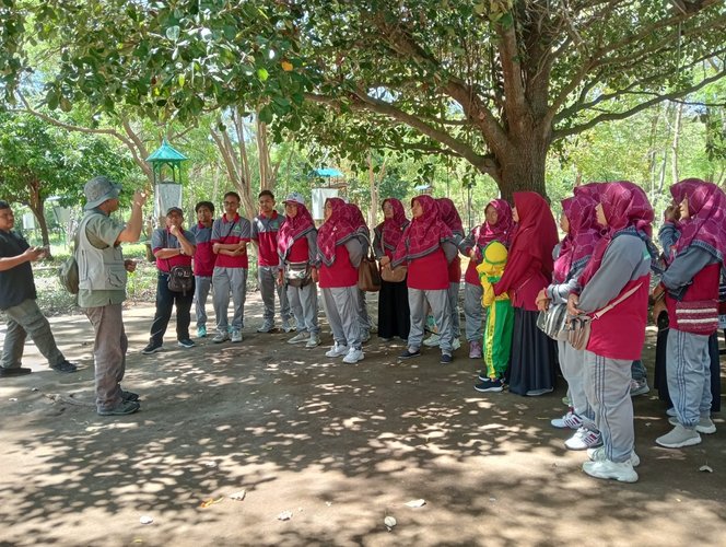 Pendidikan Lingkungan