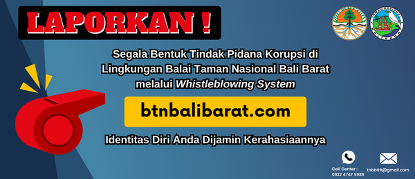 Whistleblowing System